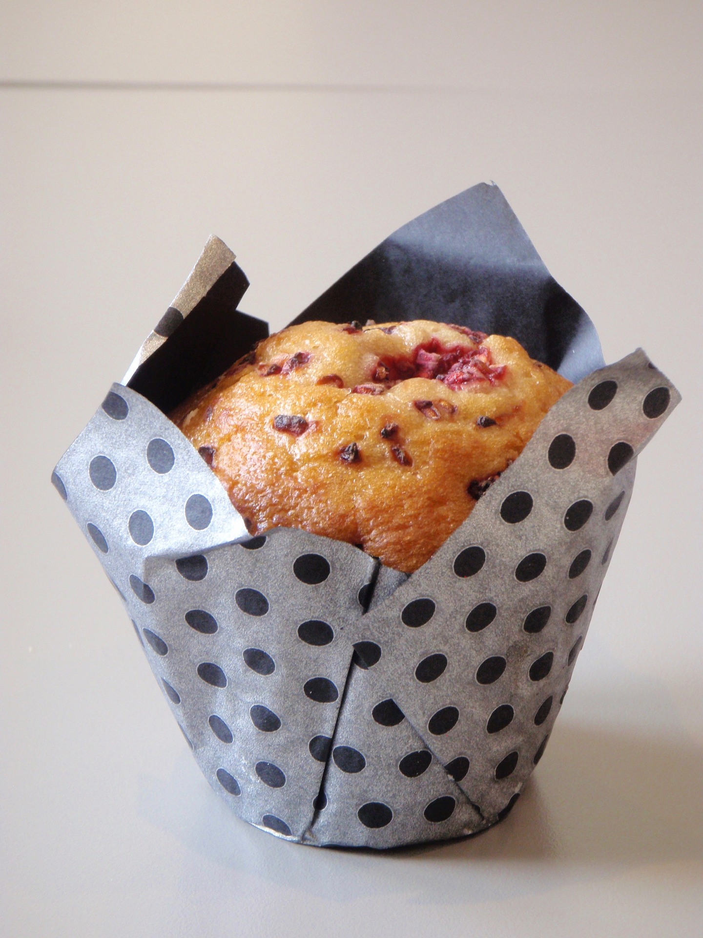 Cranberry Muffin